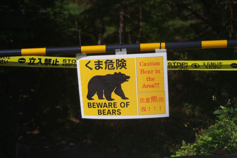A yellow warning sign showing a picture of a bear with the word in Japanese and English reading "beware of bears".