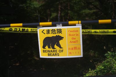 A yellow warning sign showing a picture of a bear with the word in Japanese and English reading "beware of bears".