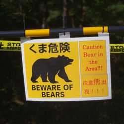 A yellow warning sign showing a picture of a bear with the word in Japanese and English reading "beware of bears". 