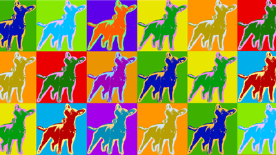 A pop art style image of a dog in multiple colours.
