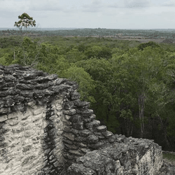 The jungle, seen from the top of an ancient Mayan structure in the foreground.