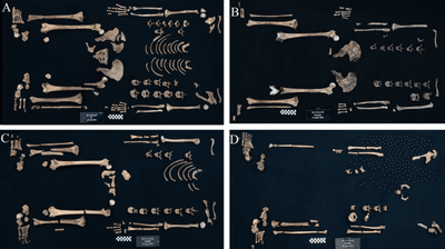 four layouts of ancient egyptian female remains