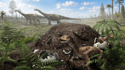 a baby sauropod hatches out of its egg into a big pile of rotting leaves (they kept it warm as an egg)