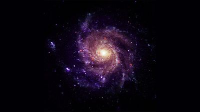 the pinwheel is a face-on spial galaxy with several beautiful spiral arms - the sources are distributed across the galaxies