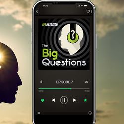 A hand holding up a silhouette of head with a puzzle piece-shaped hole in it, overlaid with a picture of a mobile phone showing the Big Questions logo.