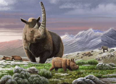Reconstruction of the woolly rhinoceros thriving in the temperate Eurasian grassland.