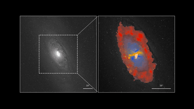 a greyscale image of a spiral galaxy and next to it an inset showign the structures determined in this work