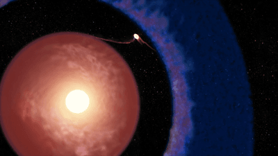the illustration shows a tiny planet accreting withing a large gap in the gas disk