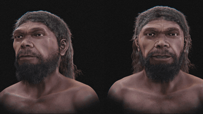 reconstruction of the appearance of the jebel irhoud hominins
