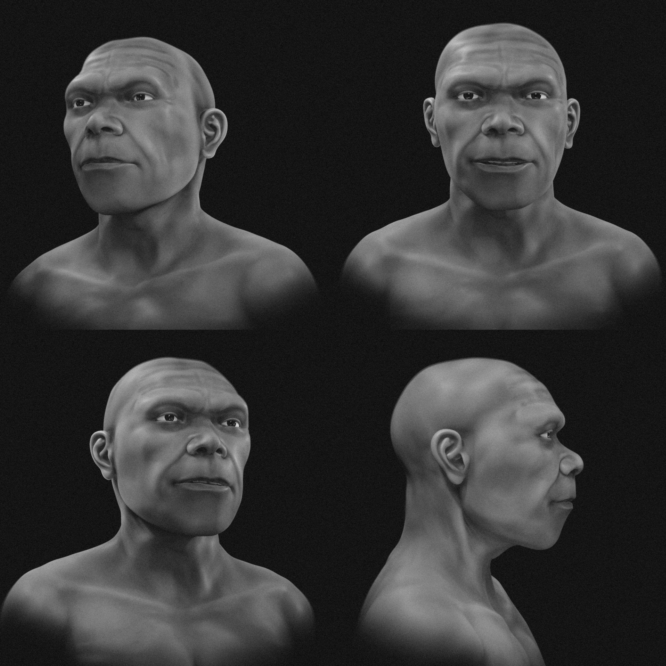 reconstruction of the jebel irhoud hominin face without pigmentation or hair reconstruction of the jebel irhoud hominin face without pigmentation or hair