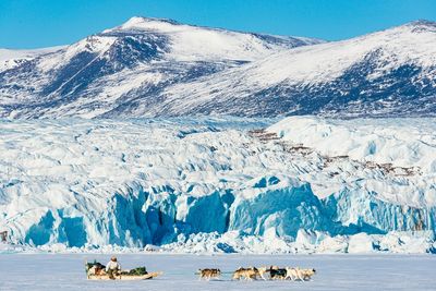 The mighty Qaanaaq Ice Cap in reenland with a dog sled in front to show how huge it is.