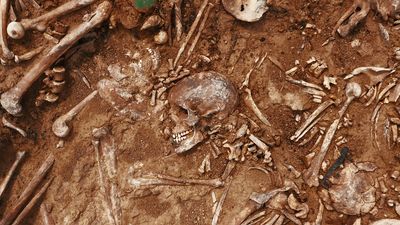 Archaeological excavations at the crime scene, Human remains in the ground. War crime scene. Site of a mass shooting of people. Human remains - bones of skeleton, skulls