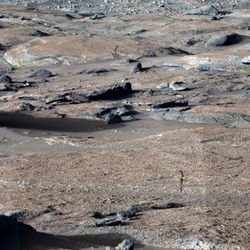 reddish and grey rocks are visible in the image with several smoothed by water