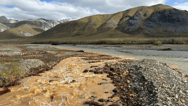 landscape in alaska shows orange water running from a tributary into a waterway