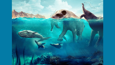 animals in megalake paratethys, there's a whale, seal, and elephant-like creatures