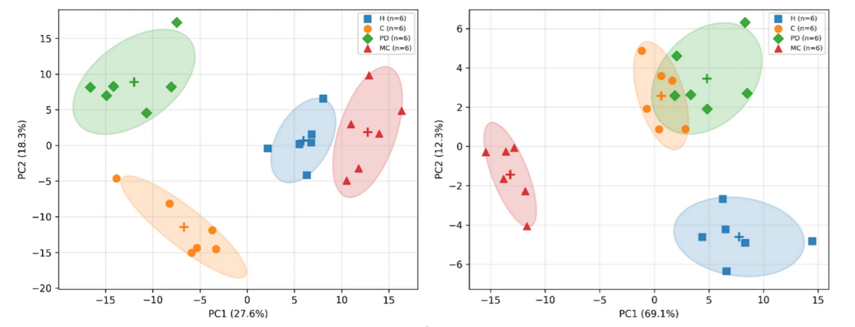 A diagram study show how VOC patterns from nasal swabs (left) and navel swabs (right) cluster for healthy controls (blue) and people with COVID-19 (orange), Parkinson's disease (green), and mild cognitive impairment (red). A diagram study show how VOC patterns from nasal swabs (left) and navel swabs (right) cluster for healthy controls (blue) and people with COVID-19 (orange), Parkinson's disease (green), and mild cognitive impairment (red).