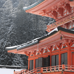 Snow falls on Enryaku-ji, the head temple of Tendai, located on Mount Hiei in otsu near Kyoto, Japan. 