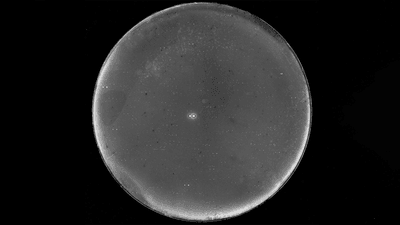 black and white photo of a grey circle with two very small points of light almost at its center