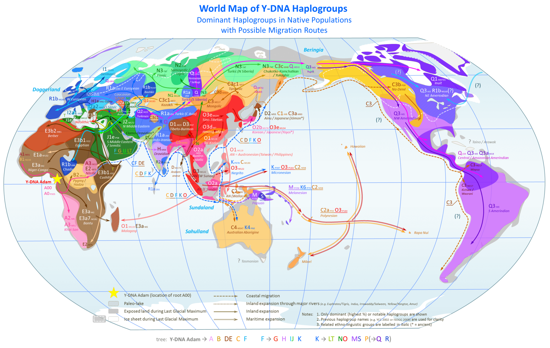 Precolonial Y chromosome groups around the world reveal migration routes starting from Africa Precolonial Y chromosome groups around the world reveal migration routes starting from Africa