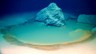 Although once known as "black pools of death", brine pools are blue when light can reach them, and they can contain remarkably concentrated metal deposits