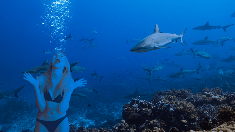 a woman underwater screaming near sharks