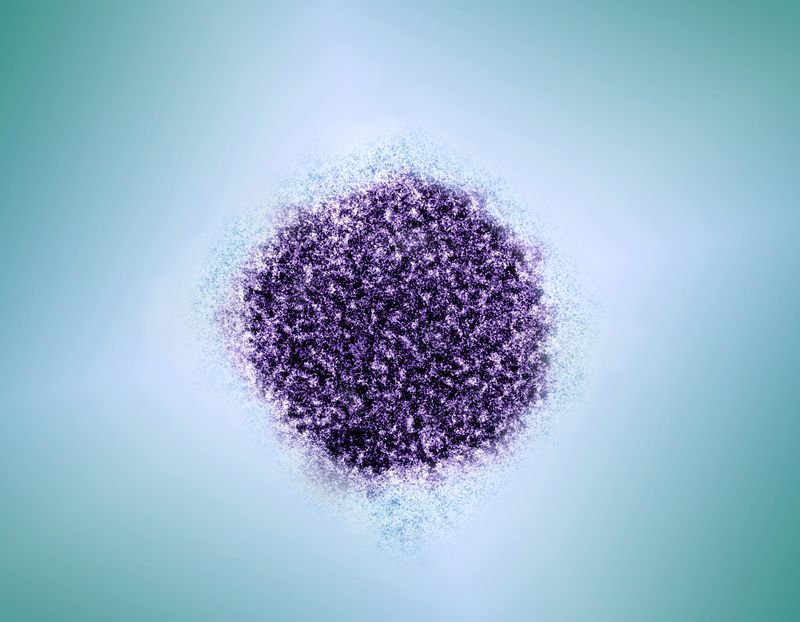 Colorized transmission electron micrograph of a hepatitis C virion.