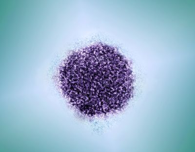 Colorized transmission electron micrograph of a hepatitis C virion.