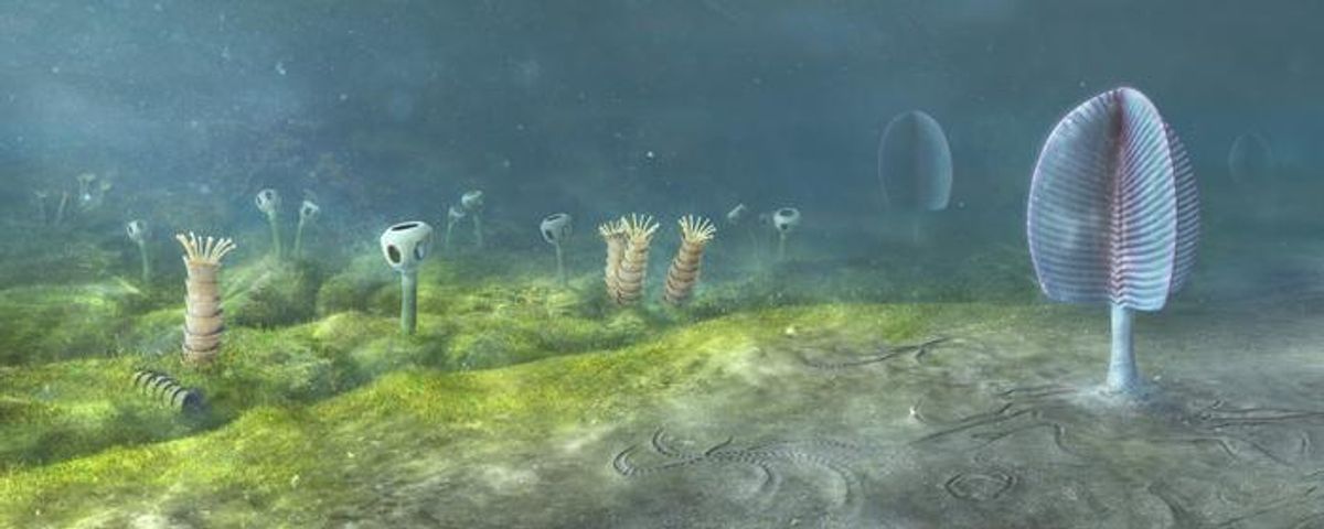 When Did Animals First Evolve? New Evidence From Mongolia Suggests It Could Be As Far Back As 800 Million Years Ago