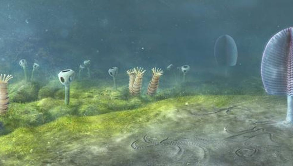 When Did Animals First Evolve? New Evidence From Mongolia Suggests It Could Be As Far Back As 800 Million Years Ago