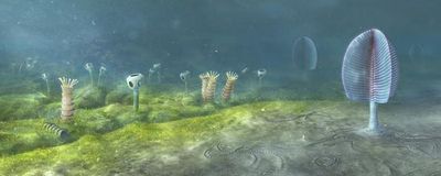 A reconstruction of early animal life, showing weird feather and tube-like forms.