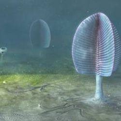 A reconstruction of early animal life, showing weird feather and tube-like forms.