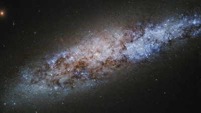 The spiral dwarf galaxy NGC 4605.