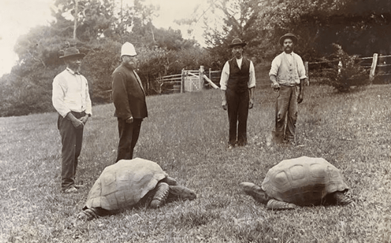 Jonathan (left) seen here in St Helena during his wasted youth.