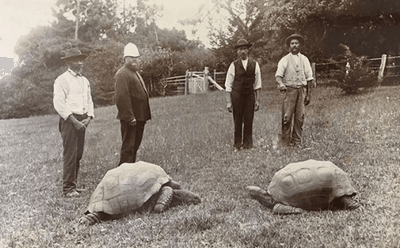 Jonathan (left) seen here in St Helena during his wasted youth.