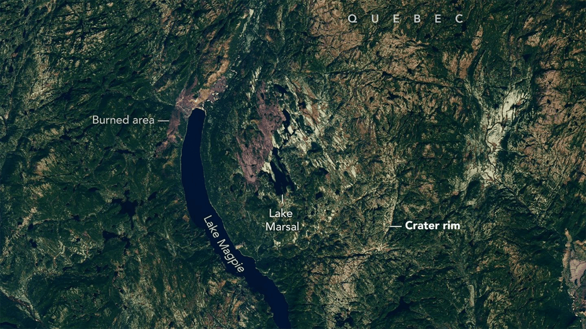 A Man Was Looking For A Place To Camp On Google Maps. Instead, He Made A 390-Million-Year-Old Discovery