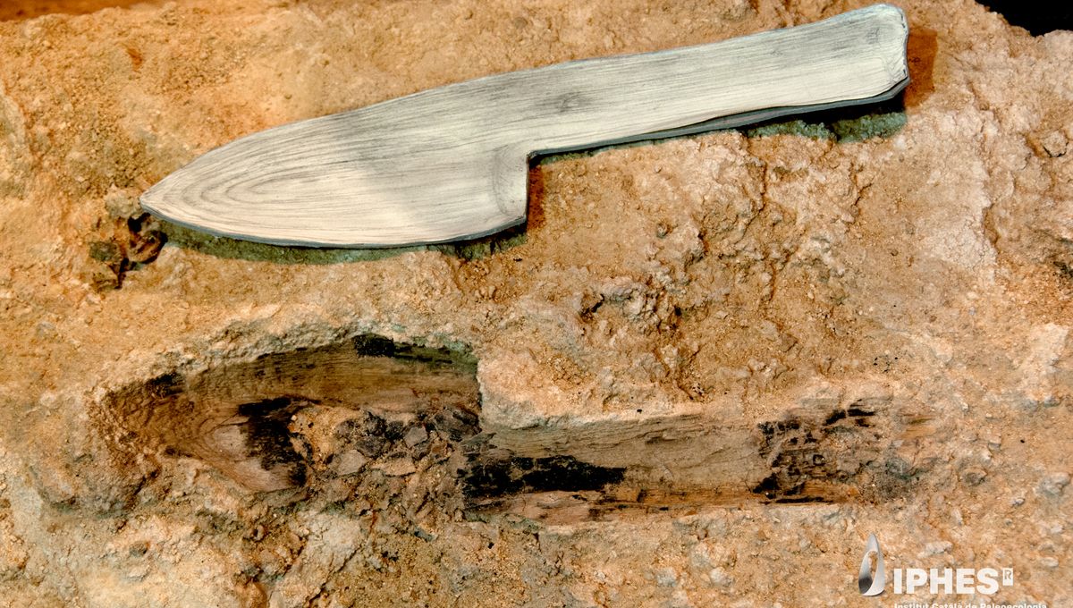 Neanderthals’ Expert Woodworking Skills Revealed By Traces Of “Hidden” Technologies