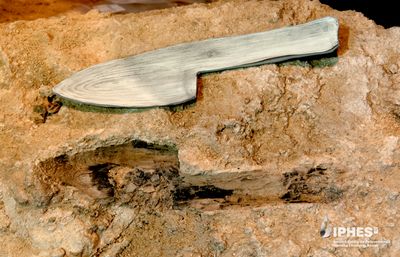 Club-like wooden tool made by Neanderthals