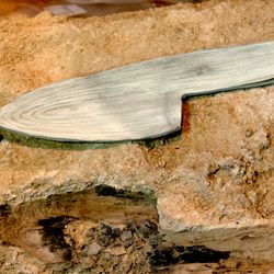 Club-like wooden tool made by Neanderthals