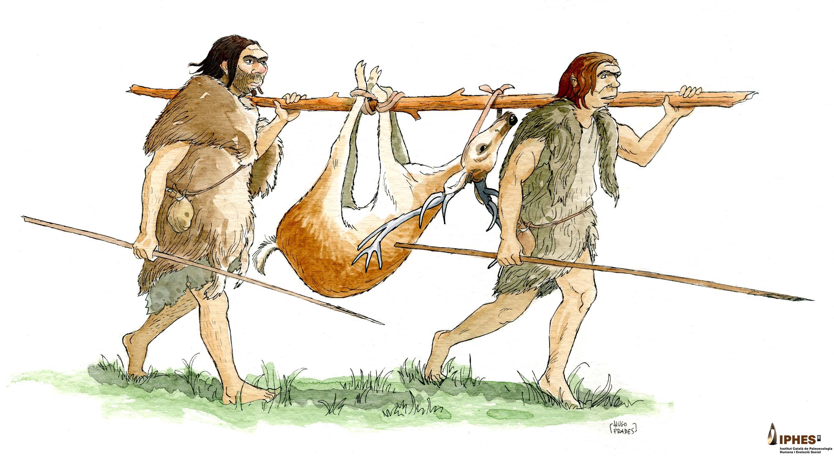 Neanderthals hunting with wooden spears Neanderthals hunting with wooden spears
