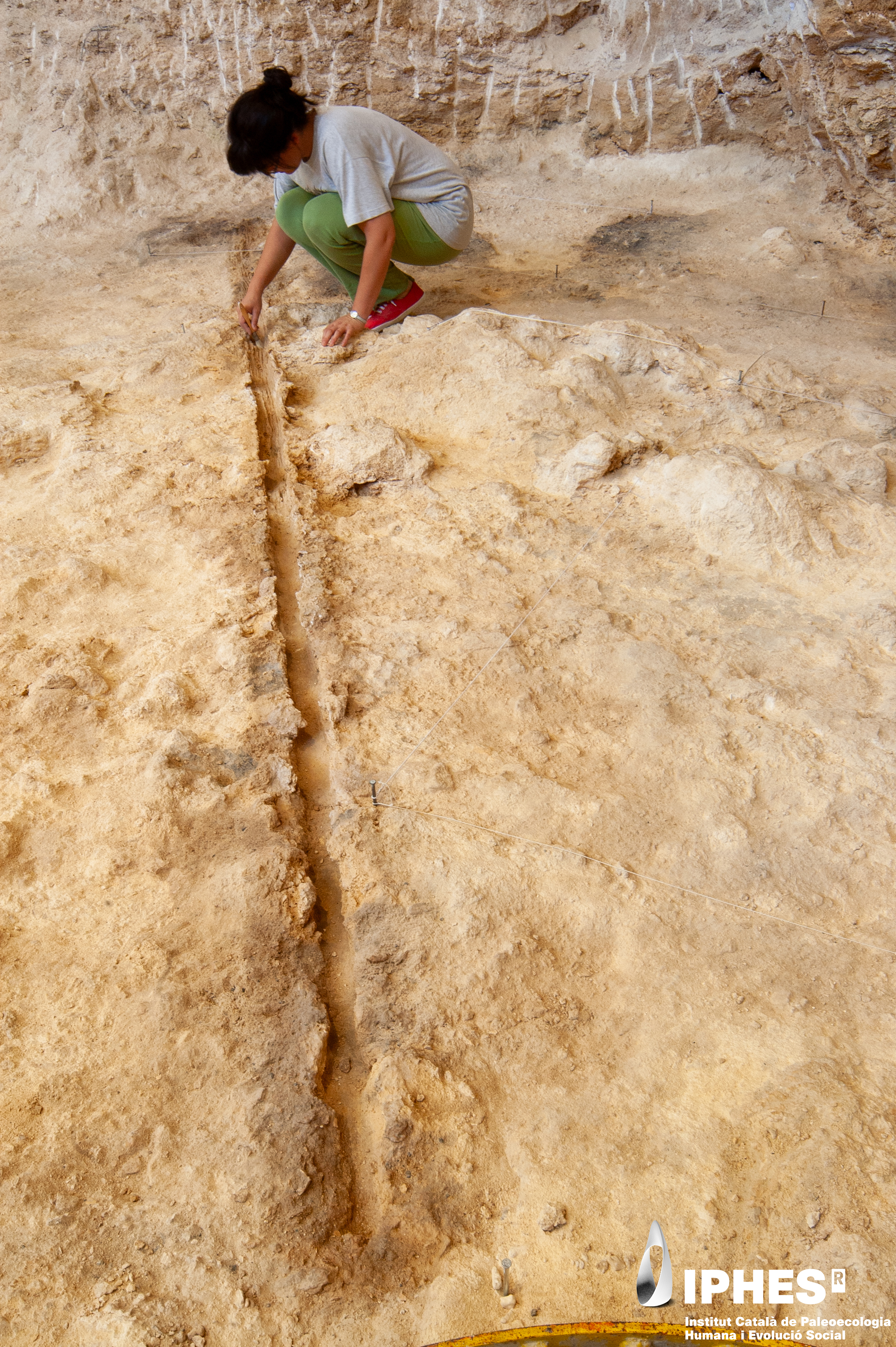 Researcher analyzes the imprint of a wooden pole used in a Neanderthal hut Researcher analyzes the imprint of a wooden pole used in a Neanderthal hut