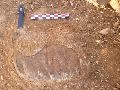 A remarkably preserved elephant tooth previously recovered from Gesher Benot Ya'aqov (GBY-NBA) — a prehistoric site in northern Israel, where early humans made stone tools some 700,000 years ago — has now enabled researchers to reconstruct a lush landscape of woodlands, wetlands, and waterways from the Pleistocene. The findings provide a rare glimpse into the environment shared by giant elephants and some of the region's earliest human populations.
