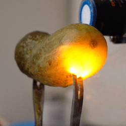 A lot of science goes into making a pickle glow, and we're getting close to understand it all