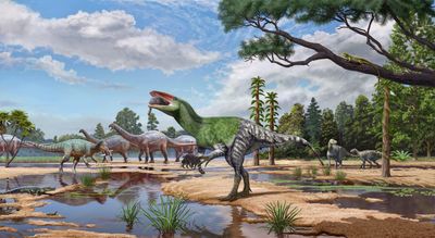 An artists impression of Invictibellatrix eating an early mammal while standing in floodplain with sauropods and iguandons walking in the background.