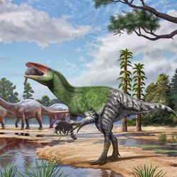 An artists impression of Invictibellatrix eating an early mammal while standing in floodplain with sauropods and iguandons walking in the background. 
