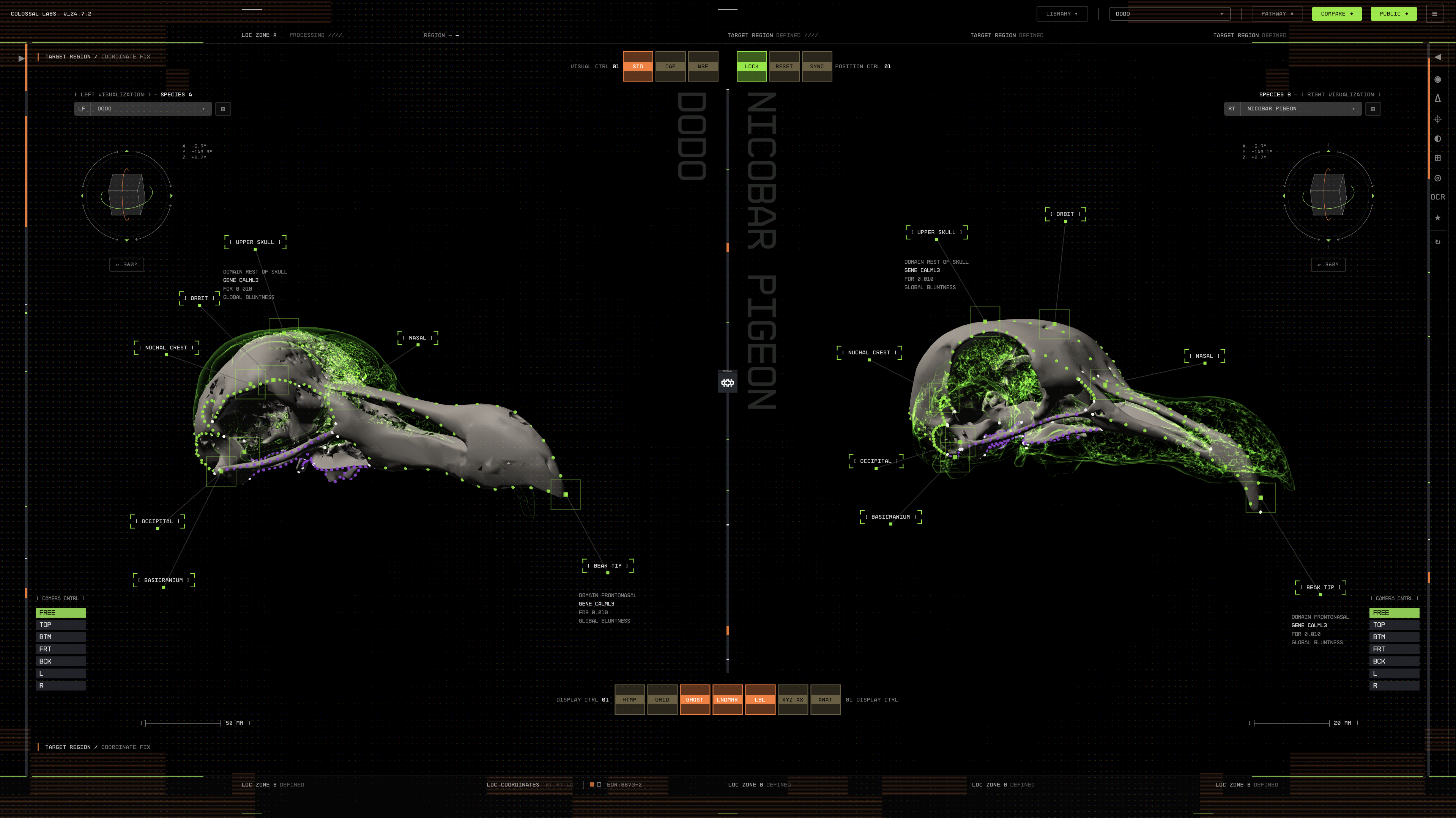 An illustration showing the work of the GenoMorph platform.
