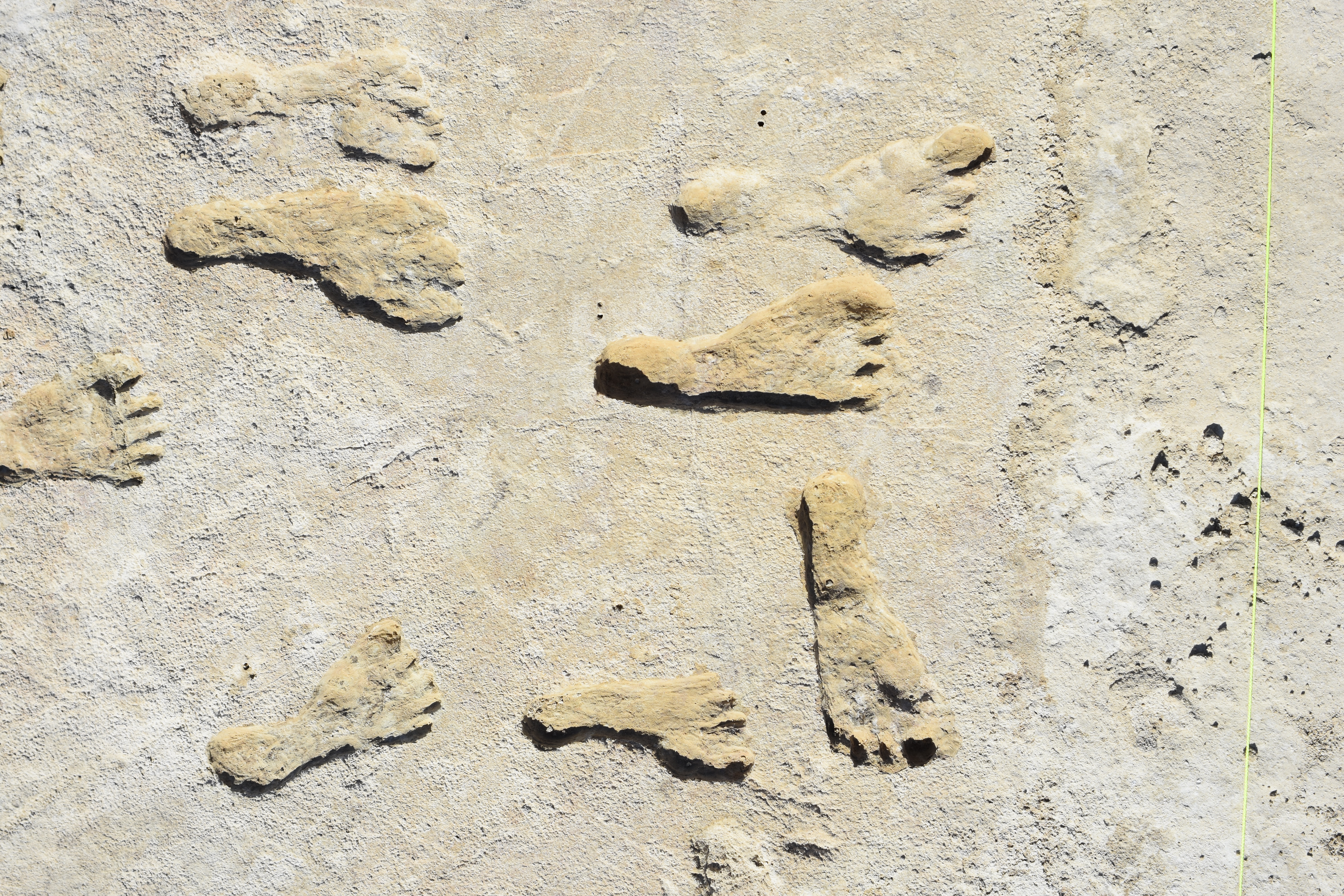 Fossilized footprints in White Sands National Park. Fossilized footprints in White Sands National Park.