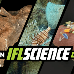 Latest Science News, Articles | IFLScience