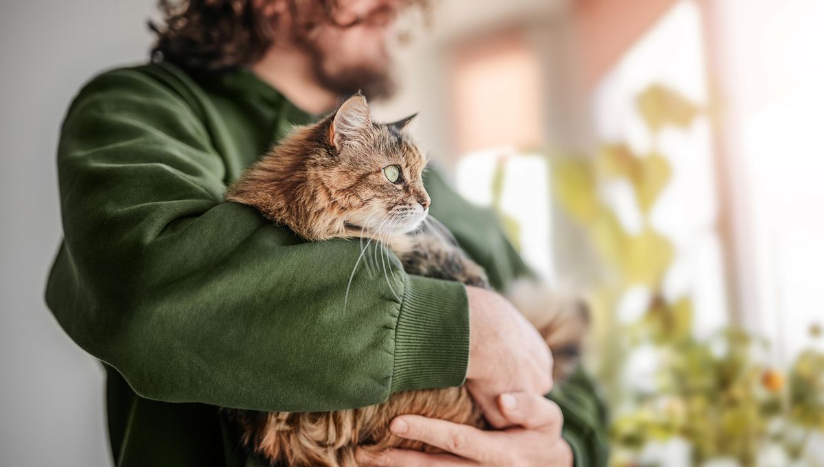 Cats And Their Owners Share A Hormonal Connection That May Boost Both Their Moods