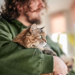 A photo of a cat being held in the arms of a man with long hair wearing a green sweater. The man and the cat are looking out of a window to the right of the image. The photo is focused on the cat, blurring out the man's face.