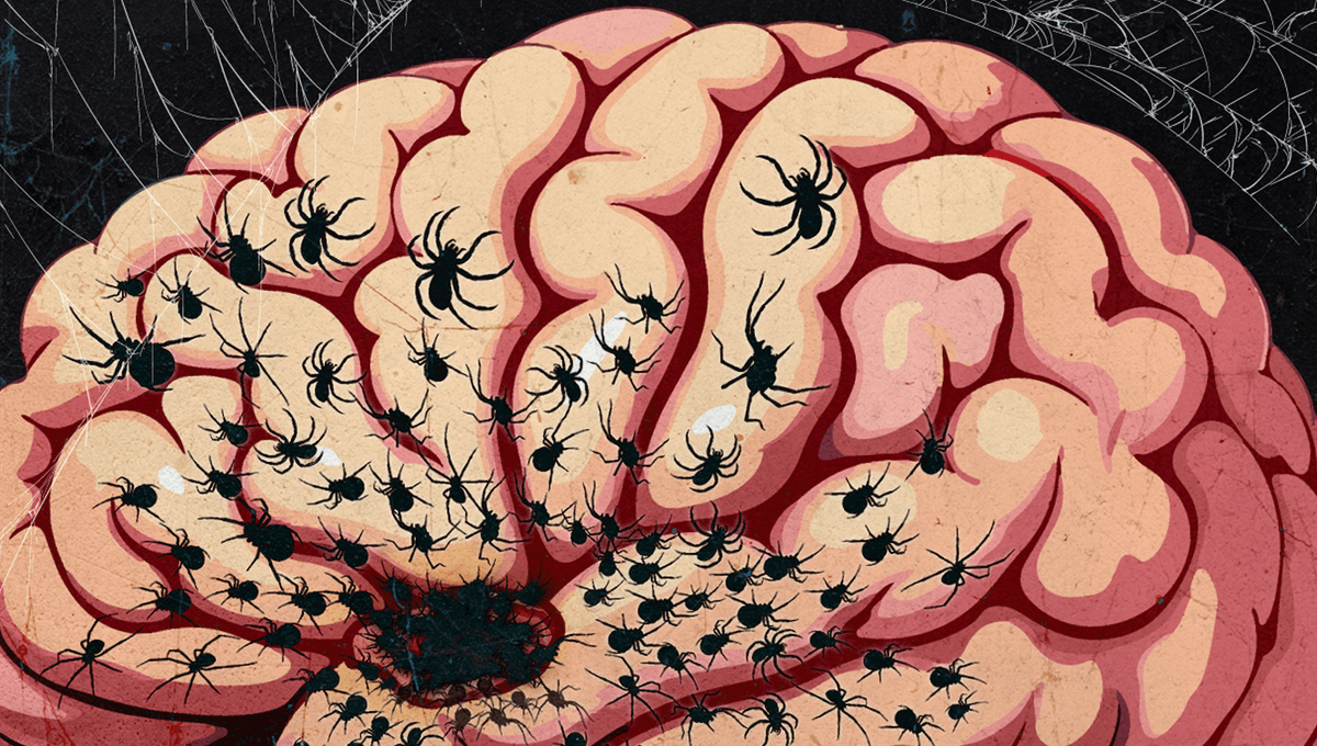 In 1994 Scientists Discovered A Woman Stopped Experiencing Fear When She Lost A Section Of Her Brain. So What Actually Causes Fear?